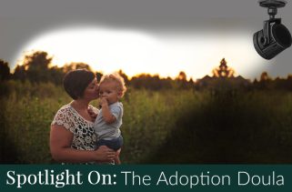 Adoption Spotlight