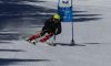 Alpine Skiing