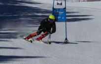 Alpine Skiing