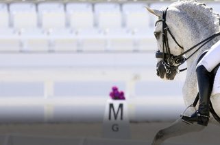 Anna Marek Rides Fayvel to Win Ocala CDI3* Grand Prix Special to Notch World Equestrian ...