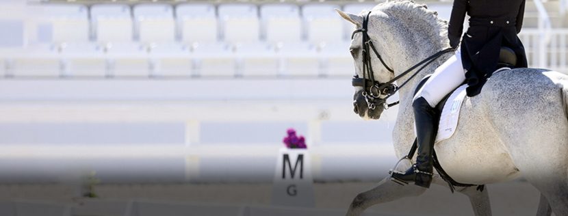 Anna Marek Rides Fayvel to Win Ocala CDI3* Grand Prix Special to Notch World Equestrian ...