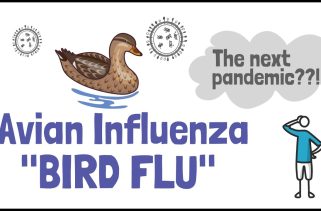 Avian influenza