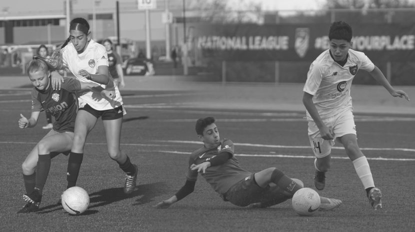 Big North Conference boys soccer all