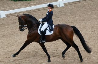 British Equestrian to Sit Out for a Year Due to Horse Whipping