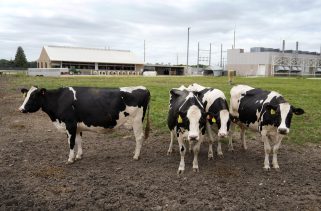 California declared an emergency over bird flu. How serious is the situation?