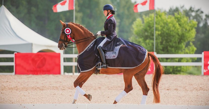 Canadian Dressage Squads for 2025 Announced