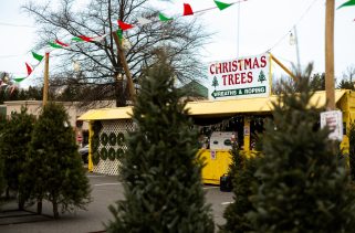 Christmas at Capitol Market signifies the moment to purchase your Christmas tree