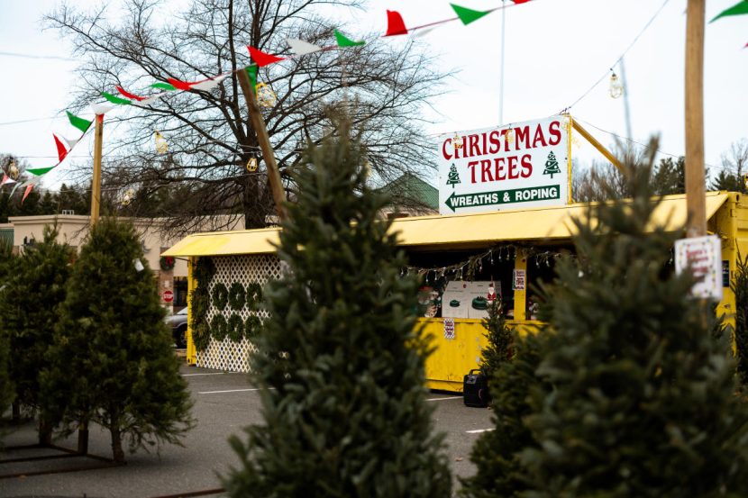 Christmas at Capitol Market signifies the moment to purchase your Christmas tree