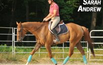 Hope Unbridled Equestrian Program gets help from TVA retirees