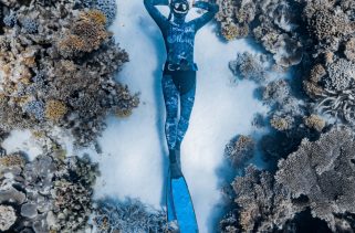 How to view Freediver 2024 in Australia