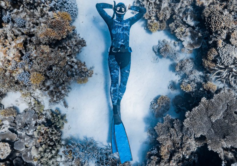 How to view Freediver 2024 in Australia