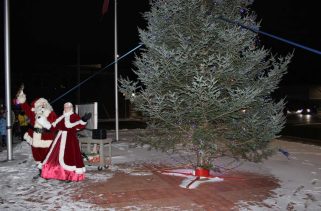 IM Christmas Walk concludes with the lighting of the tree