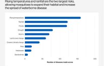 Increased disease risk as mosquito numbers rise