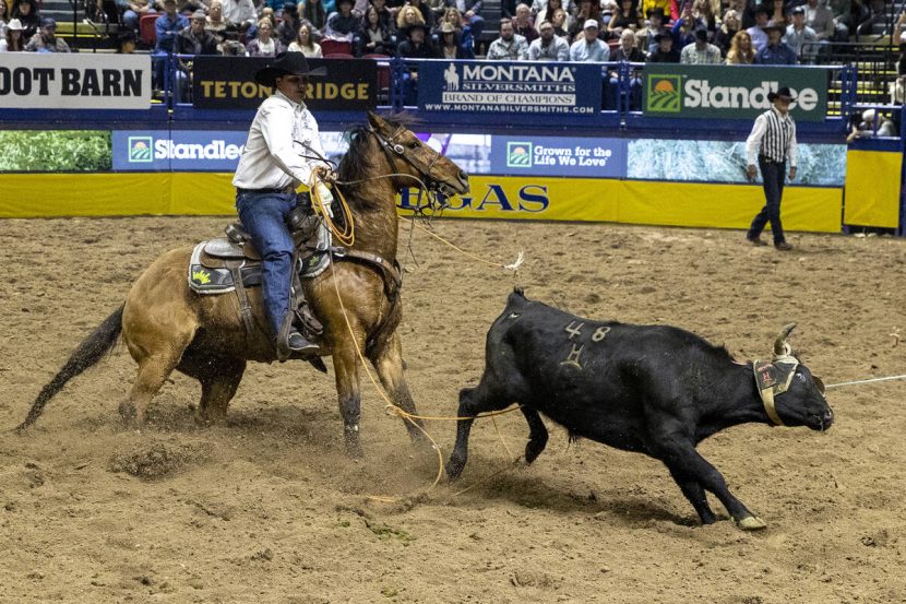 Jacksonville team roper close to the peak of National Finals Rodeo rankings