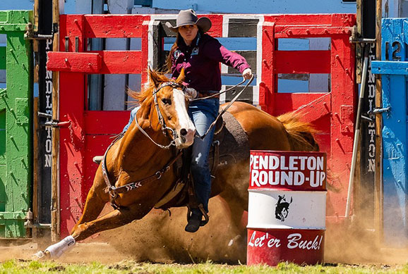 Kingwood teen making big waves in Rodeo world as a steer wrestling champion