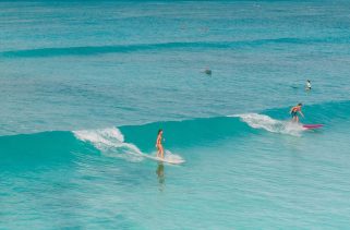 Large surf in the forecast for north and west shores