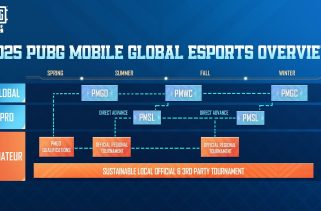 Level Infinite Plans to Invest $10M in PUBG Mobile Esports