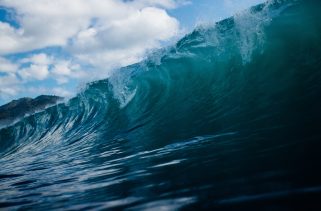 Los Angeles Times advises local surfers "not to try to surf during a tsunami"