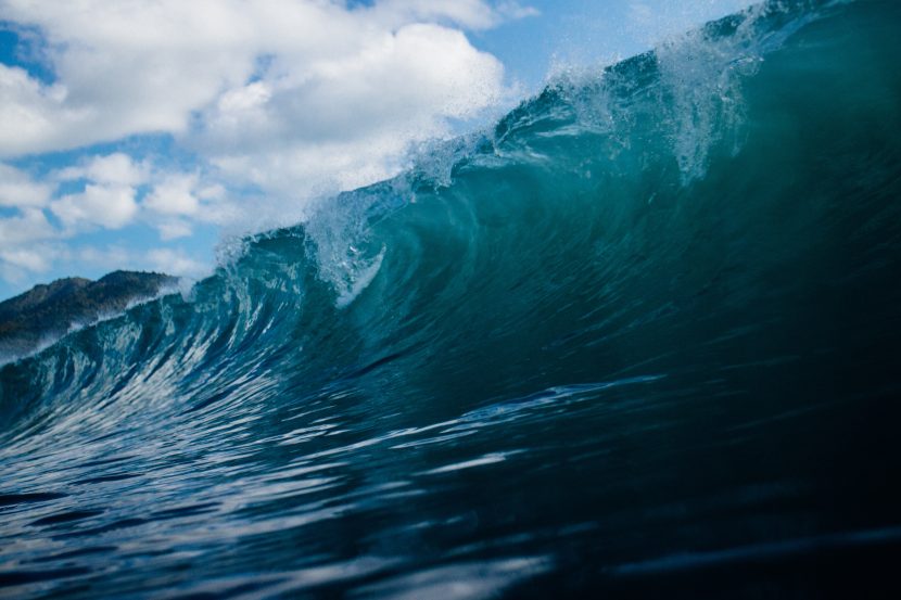 Los Angeles Times advises local surfers "not to try to surf during a tsunami"