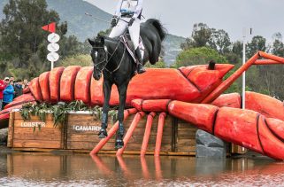 Meet the Top Horses from the 2024 USEF Eventing Developing Horse Series