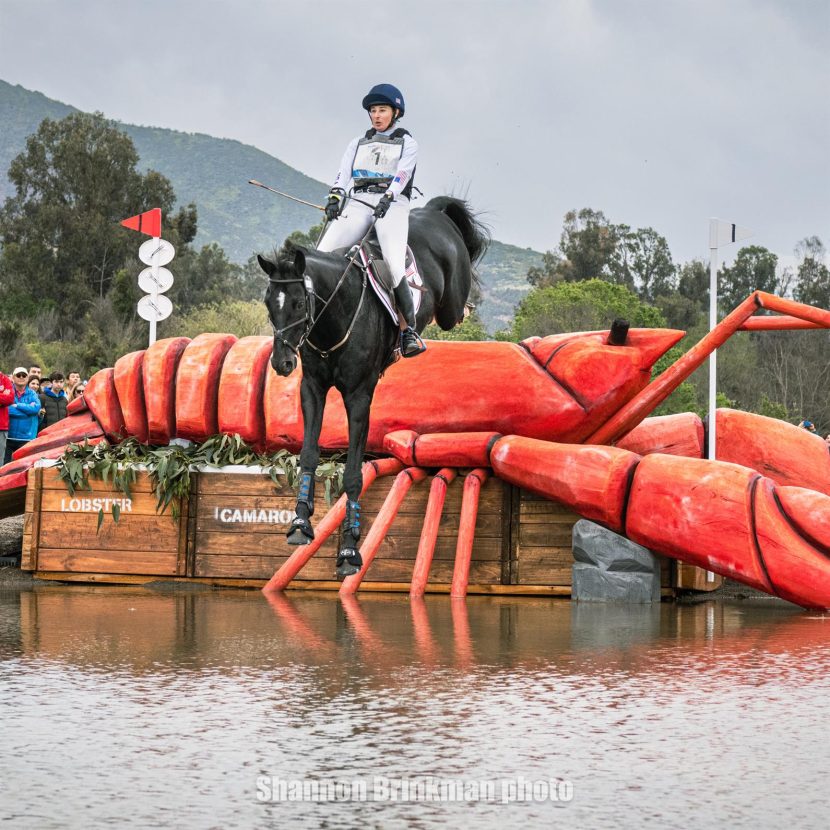 Meet the Top Horses from the 2024 USEF Eventing Developing Horse Series