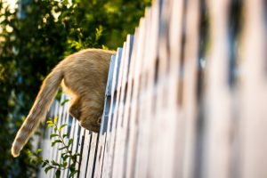 Nice boundaries create strong relationships with neighbors