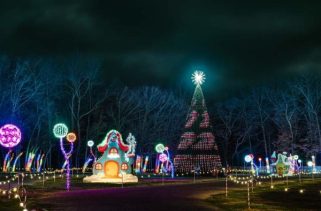 Rosa Parks Circle ice skating rink launches for the 2024–25 season