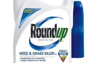 Roundup