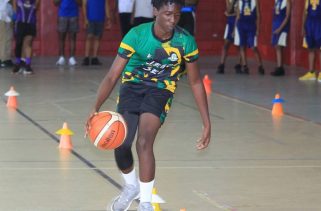 Secondary school basketball