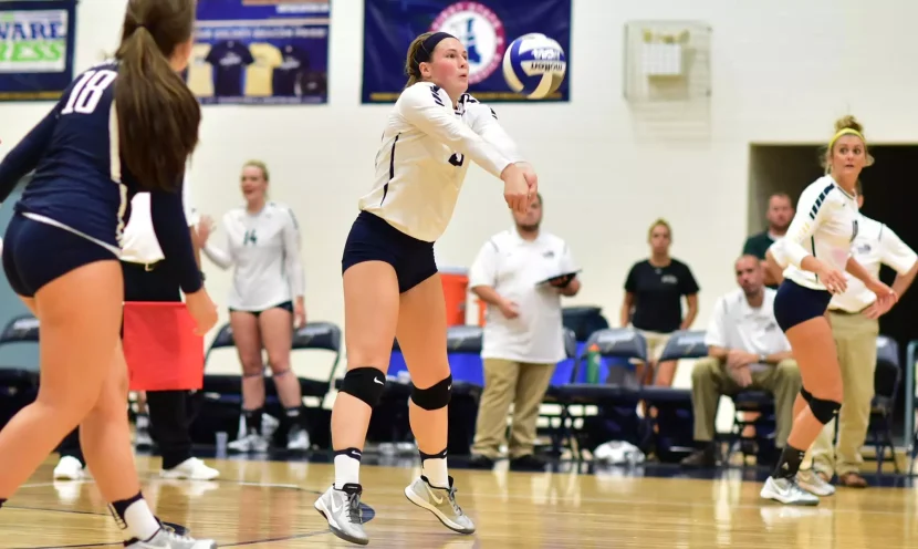 TWO WOMEN'S VOLLEYBALL ATHLETES NAMED TO CACC ALL