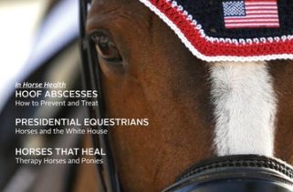 US Equestrian Declares United States Dressage Federation as the Official Affiliate ...