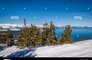 Watch bear crash into snowboarder on Lake Tahoe slope at Heavenly Ski Resort