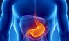 Why is stomach health the answer to better fitness and life