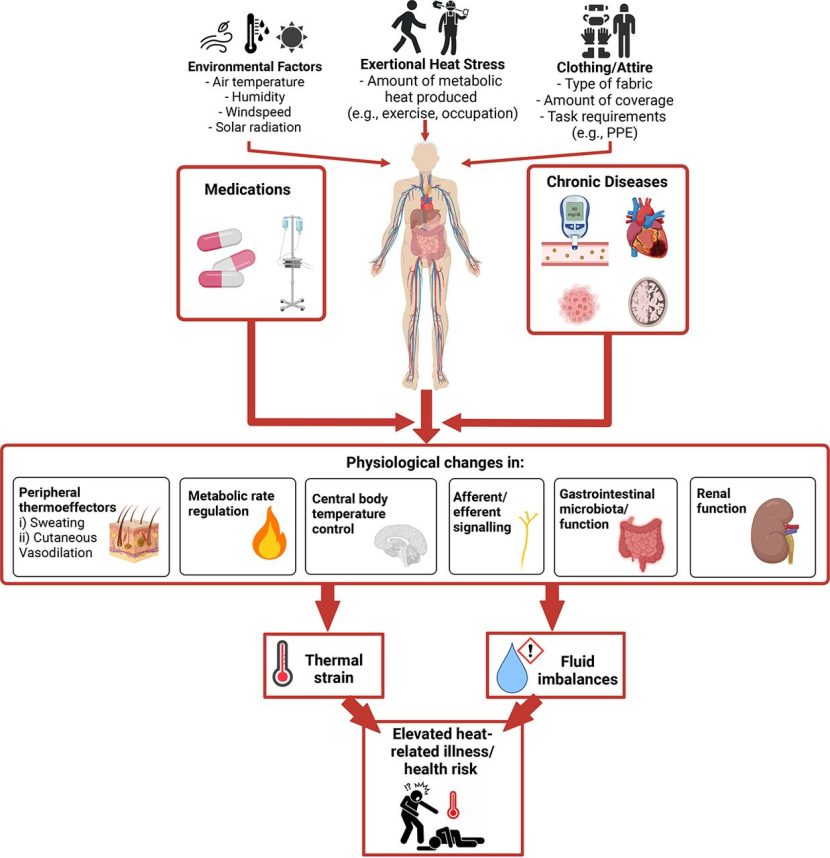 Widespread Exercise Program Could Lower Dependence on Prescription Medications