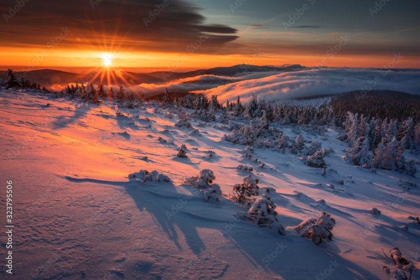 Winter