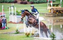 FEI Opens Horse Abuse Case Against Andrew McConnon (USA)