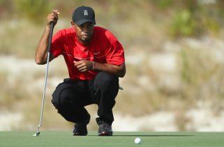 Is there appetite for Tiger Woods, Rory McIlroy's TGL golf league?