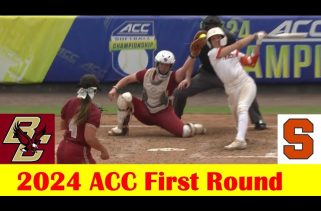 Lady Zebras take softball to state championship