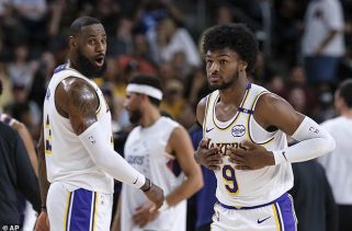 LeBron with the ELITE court vision   #NBA #Basketball #LeBron #Lakers