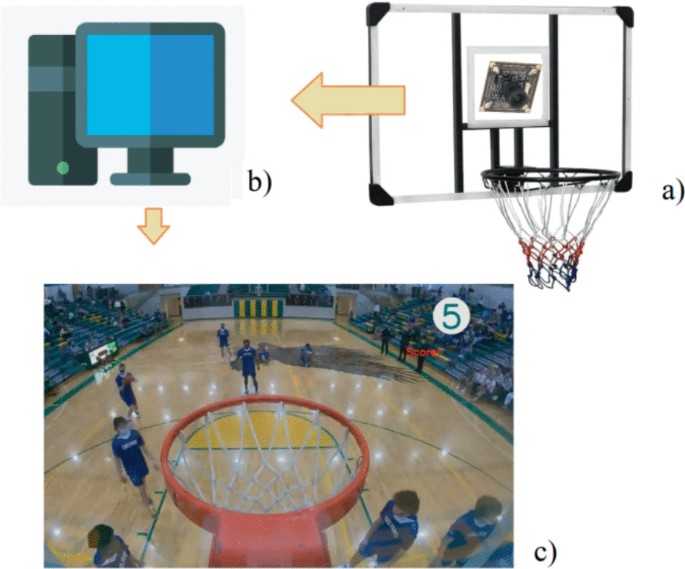 Neural correlates of basketball proficiency