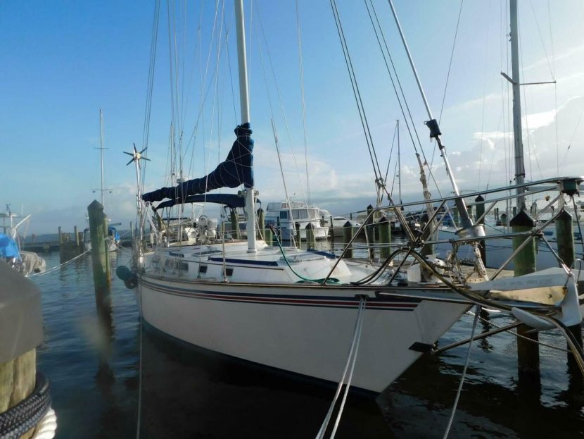 New venture to energize USA sailing