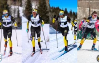 Nordic skiing