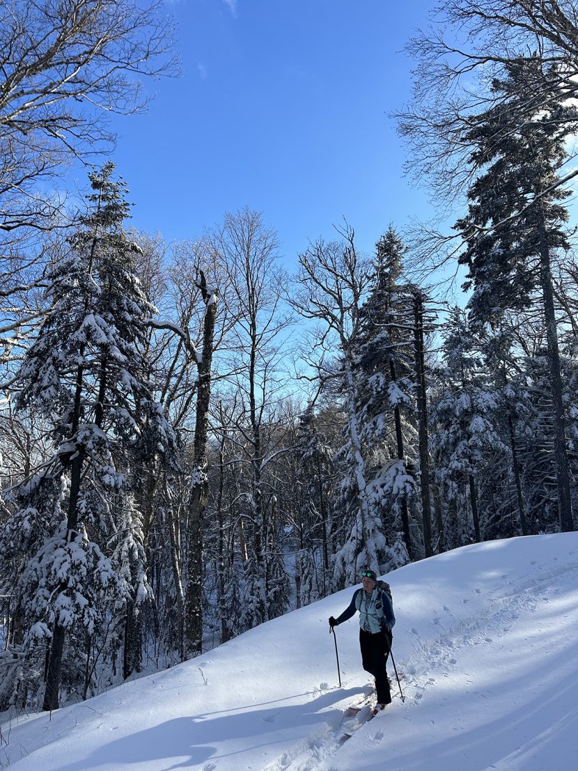 Ski Column