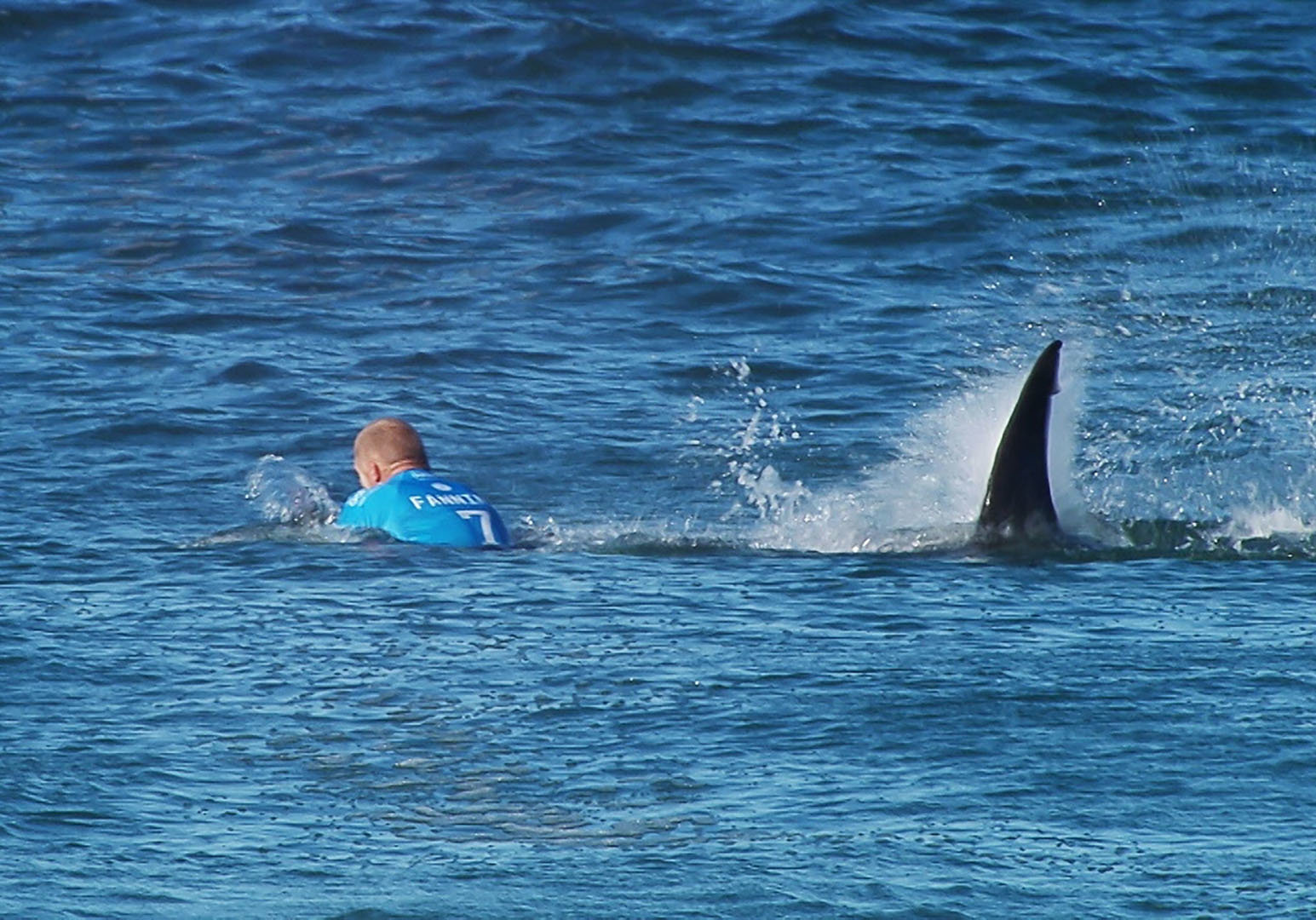 Surfer attacked by shark on SA west coast identified
