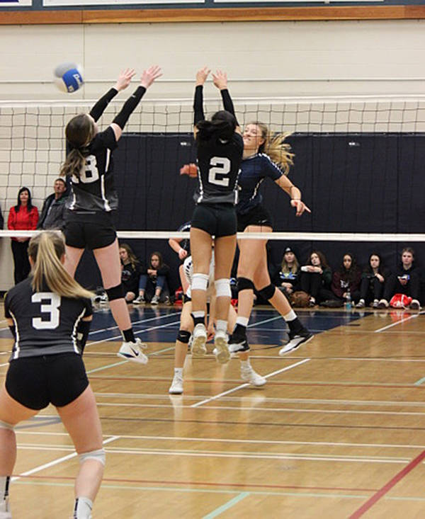 Volleyball Adds Delaney Ewing to Roster