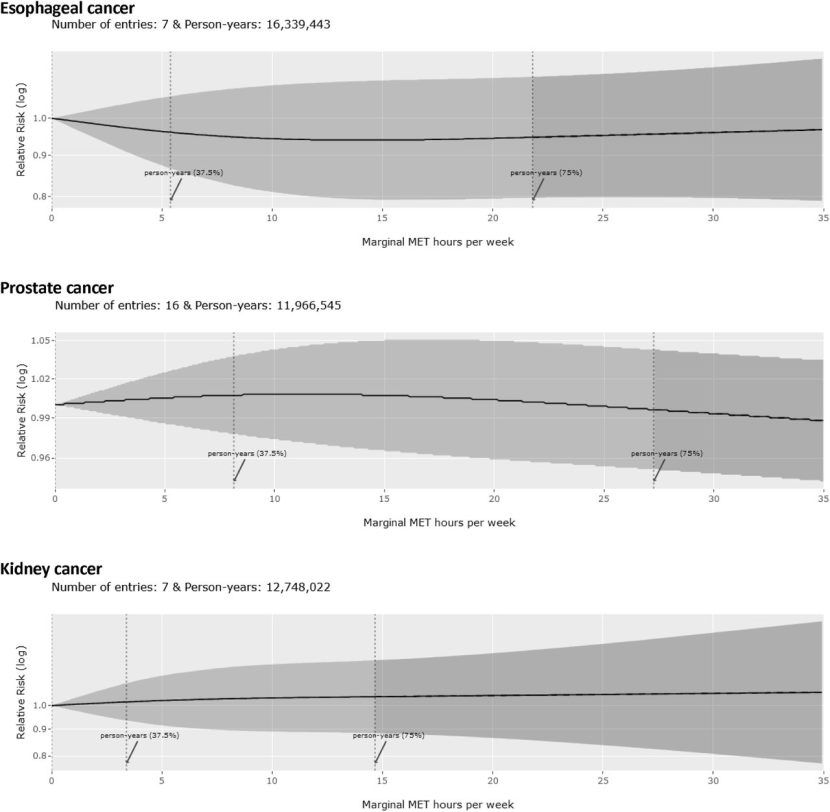 WHO guidelines on waist circumference and physical activity and their joint association with cancer risk