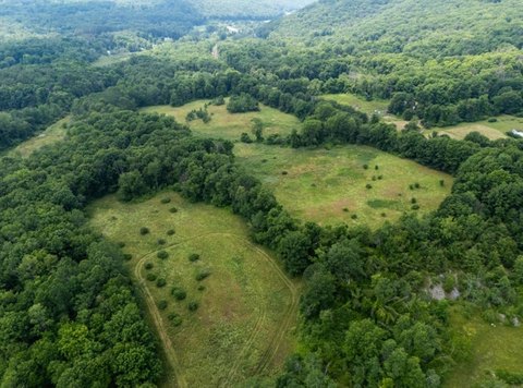 Will a historic West Stockbridge property see the opening of a horse