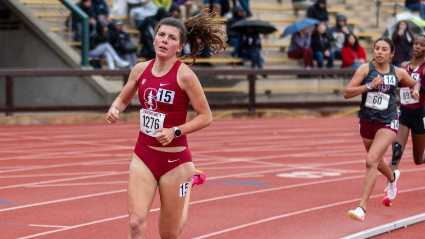 Women's Gymnastics to Open 2025 Season at MLK Invitational on Monday