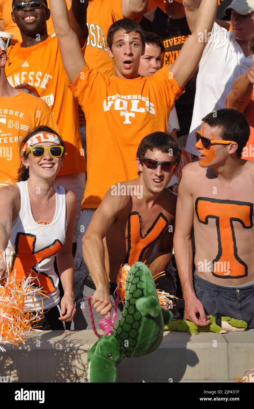 Celebrations aplenty across UF's campus after Florida basketball's win, Final Four berth