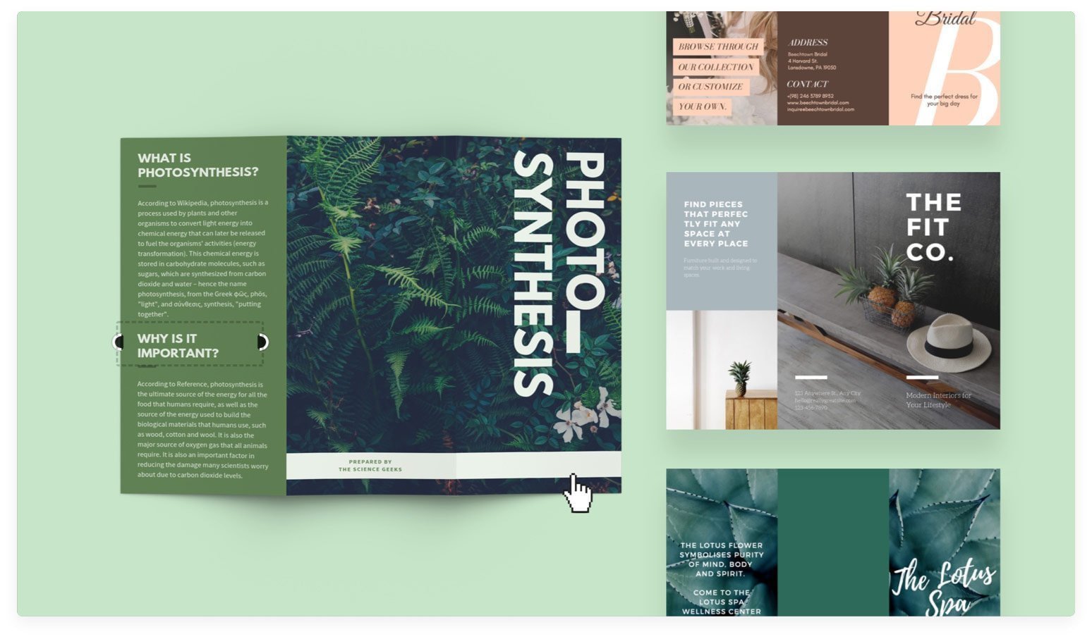 Five Steps To Build Creator Marketing Programs That Work